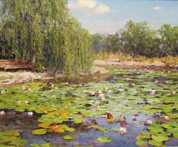 Blooming pond. Seng Anatoliy