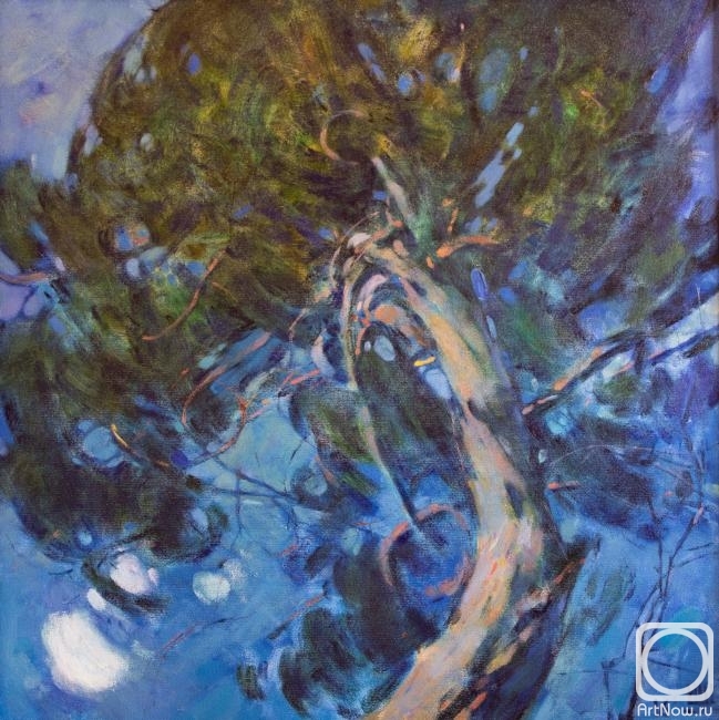 ������� ������ �� ������. �������� �����. �����