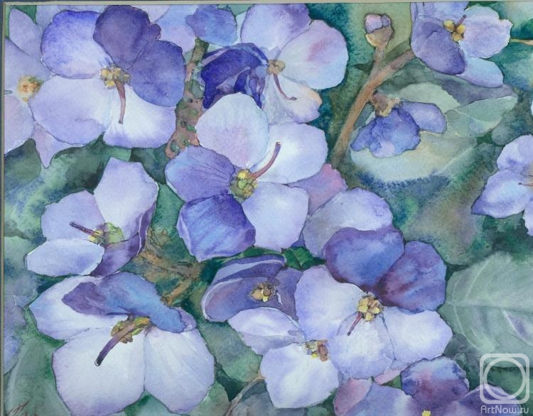 �������. ������� �����. ������