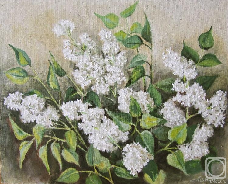 Levina Galina. White lilac