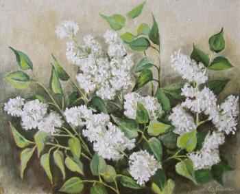 White lilac. Levina Galina