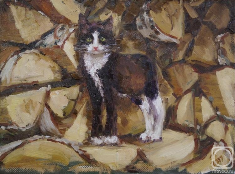 ������� ������ �� ������. �������� ������. ��������� �����