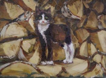 ������� ���������� �����