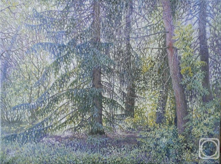 ������� ������ �� ������. ������ �����. ��������� ���