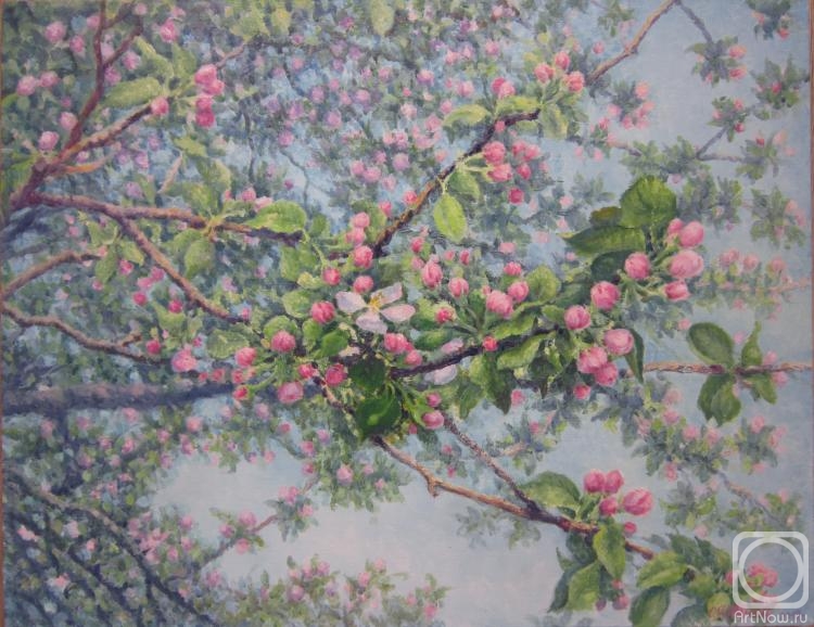 ������� ������ �� ������. ������ �����. ������� ������