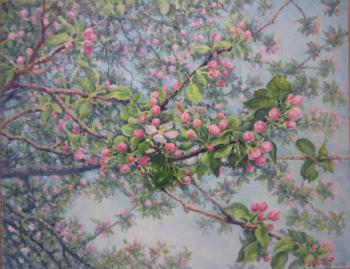 ������� �������� ������