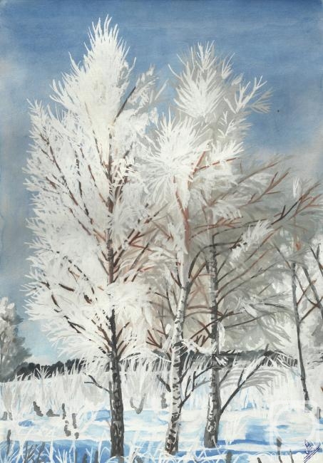 Lobanova Elena. Birches in the frost