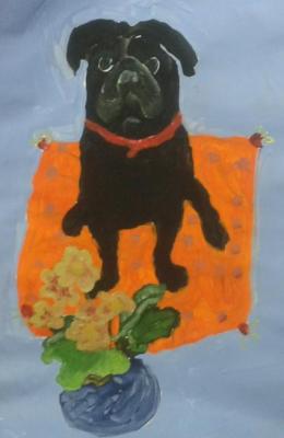 ������� � ���������. �������� ����