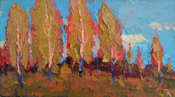 ������� �����������