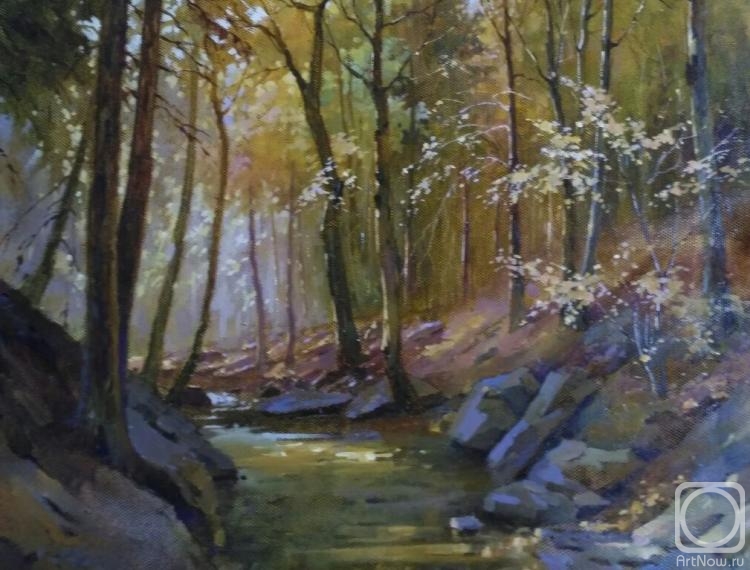 Shevtsova Oksana. Foothills of the Caucasus