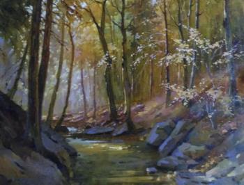 ������� ���������� �������