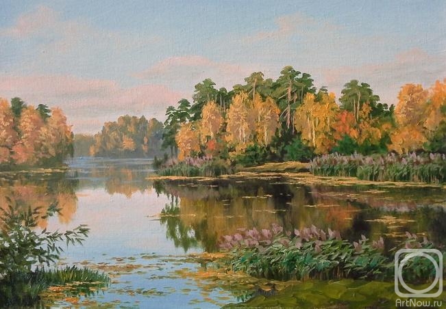 ������� ������ �� ������. �������� �����. ������ ����� ������