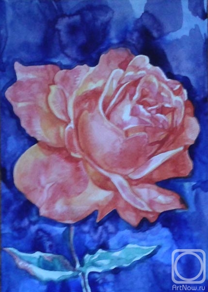 �������. ������� ������. ����