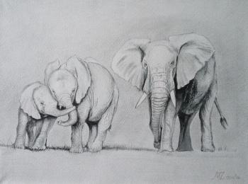 White elephants (Family Elephants). Zozoulia Maria