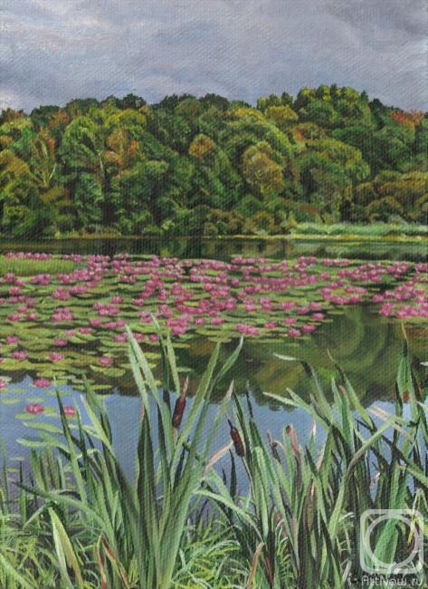 Lobanova Elena. Water lilies