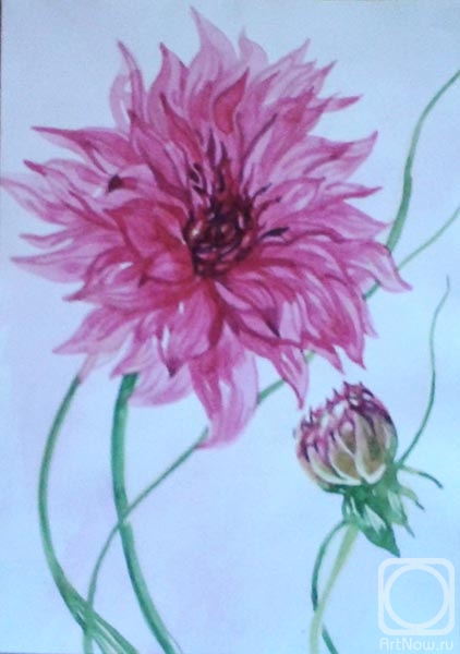 �������. ������� ������. ������