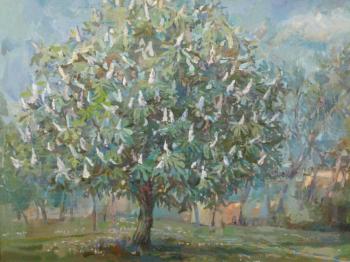 Flowering chestnut. Samoshchenkova Galina