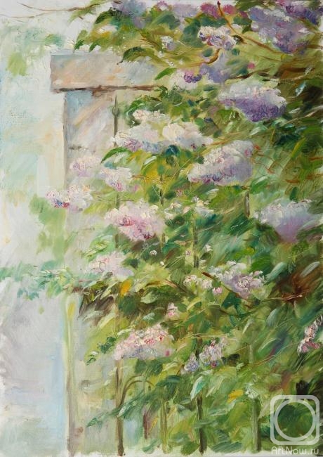 ������� ������ �� ������. ���������� ������. ������