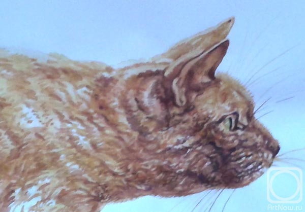 �������. ������� ������. �����