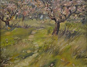 Orchard. Taran Ann