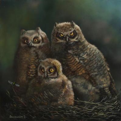Dad, mom and I - owl samiapata, mother and I - the owl family. Zerrt Vadim