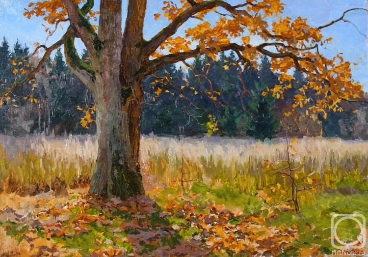 Panteleev Sergey. Fall of the leaves