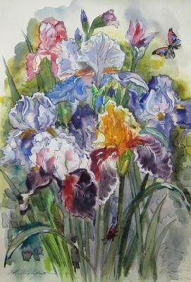 Multicolored irises. Schubert Albina