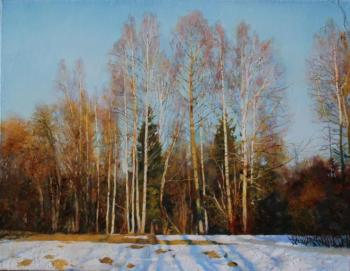 Spring in Gatchina. Silver birch trees. Egorov Viktor