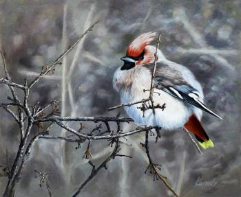 Waxwing on a branch