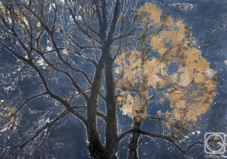 �������. �������� �����. ����