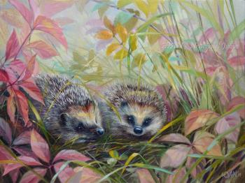 Autumn hedgehogs