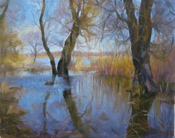 ������� ��������� ����