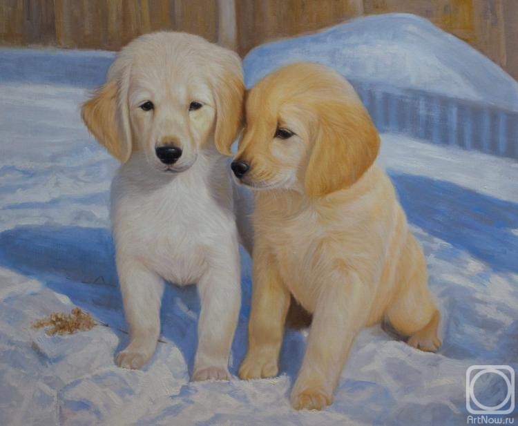 Kamskij Savelij. Puppies in the snow