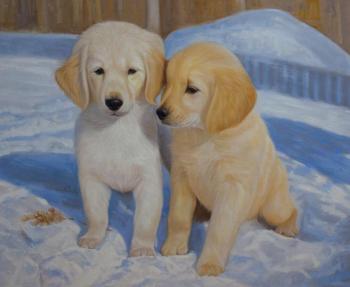 Puppies in the snow. Kamskij Savelij