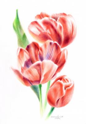 ������� ����������