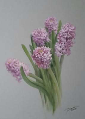 Hyacinths. Volkova Tatiana