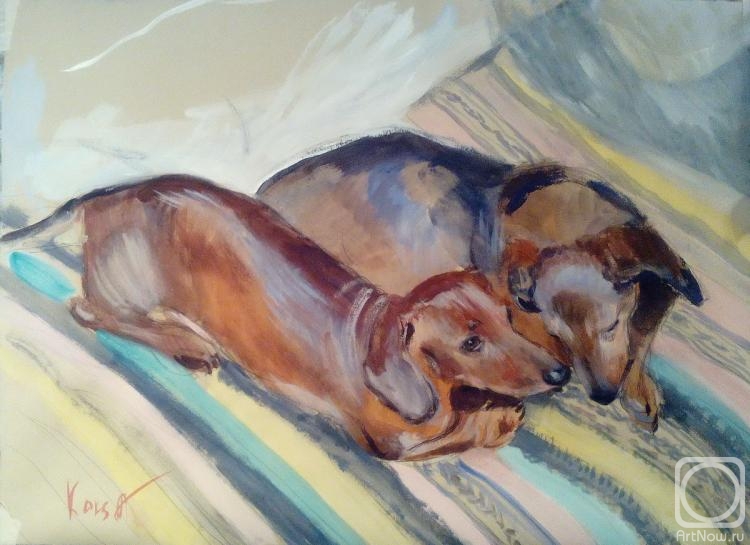 �������. ���� ����������. ������ � ���������� ���������