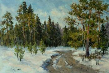 The road to the forest (Road In Forest). Serebrennikova Larisa