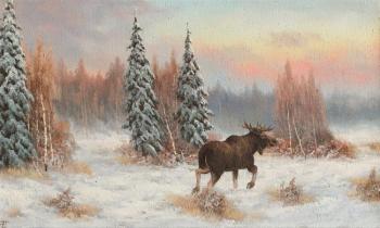 Winter, moose
