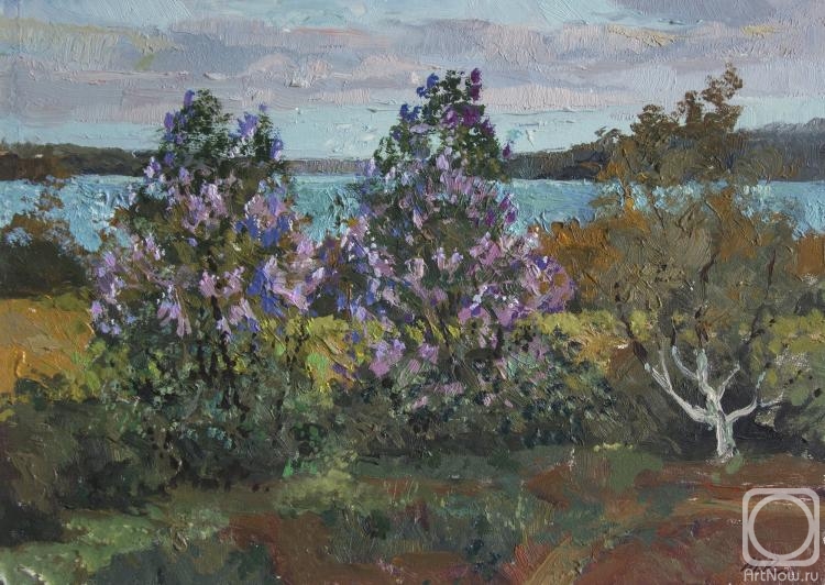 Kremer Mark. Bushes of lilac, a summer residence. 1970