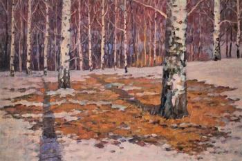 Old birch (study). Sapozhnikov Yura