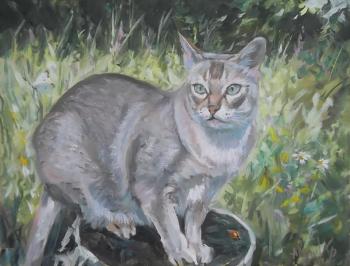 ������� ������