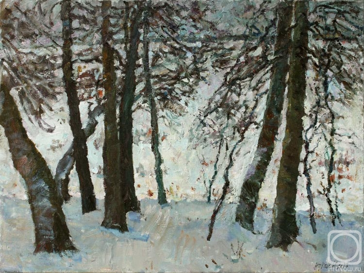 ������� ������ �� ������. ������ ����. ������ ����