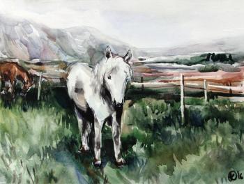 White horse. Parfenova Ekaterina