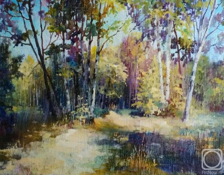 Shevtsova Oksana. Landscapes of the Moscow region