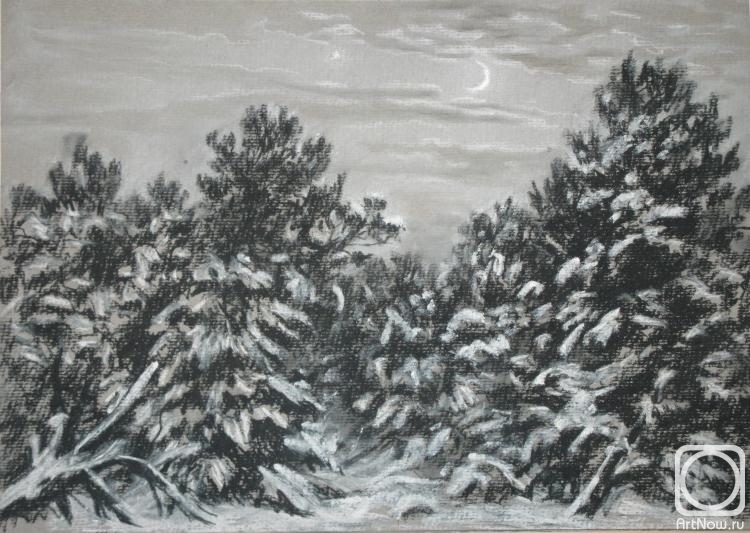 Mihajljukov Nikolay. In the winter forest