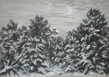 В зимнем лесу