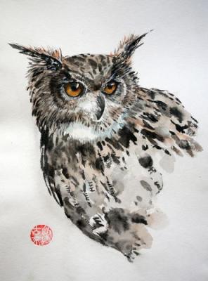 Eared owl ( ). Mishukov Nikolay