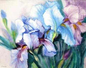 ������� ������� ���� ������