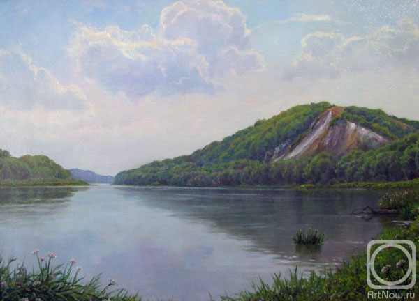 Dobrodeev Vadim. Summer day on the Don